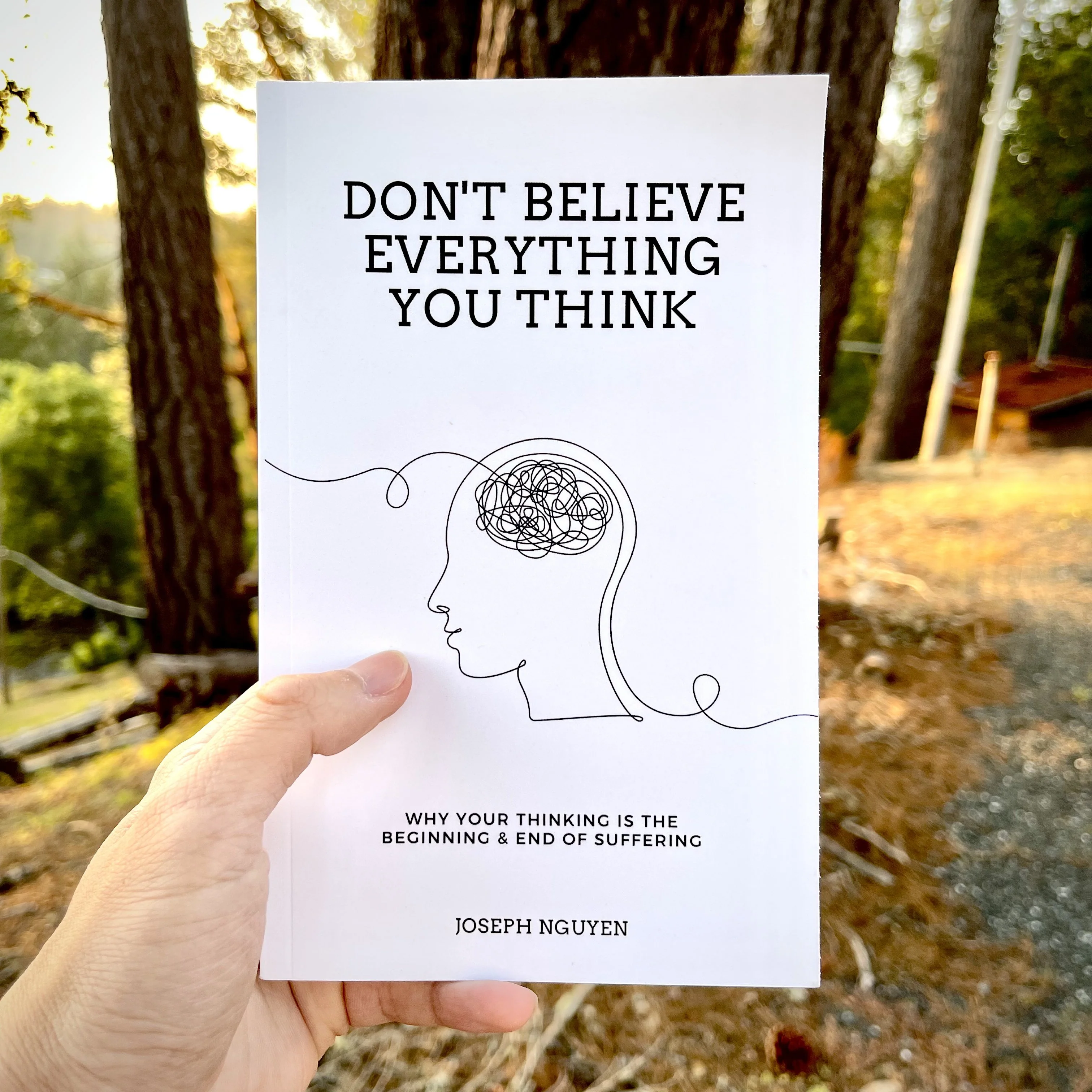 Dont Believe Everything You Think